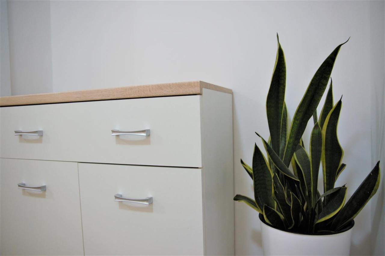 Central Modern Apt With Garden สตรูกา ภายนอก รูปภาพ